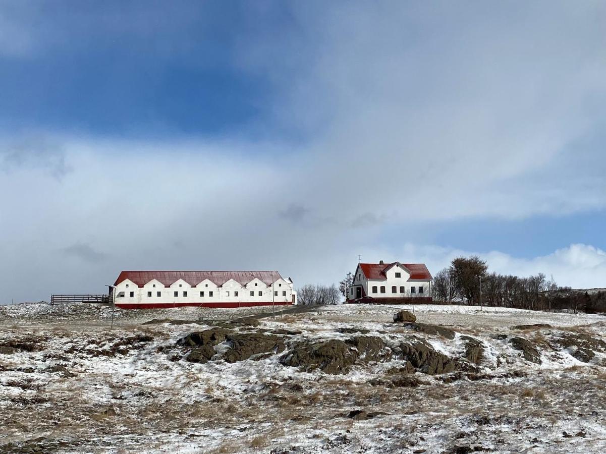 Helluland Guesthouse Saudarkrokur Exterior foto