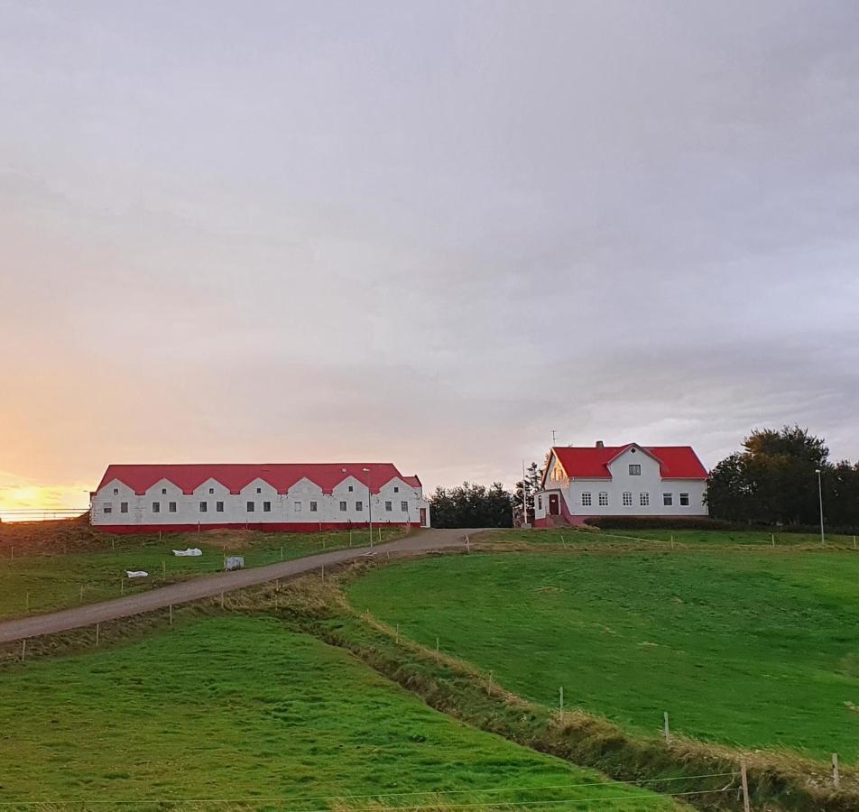 Helluland Guesthouse Saudarkrokur Exterior foto